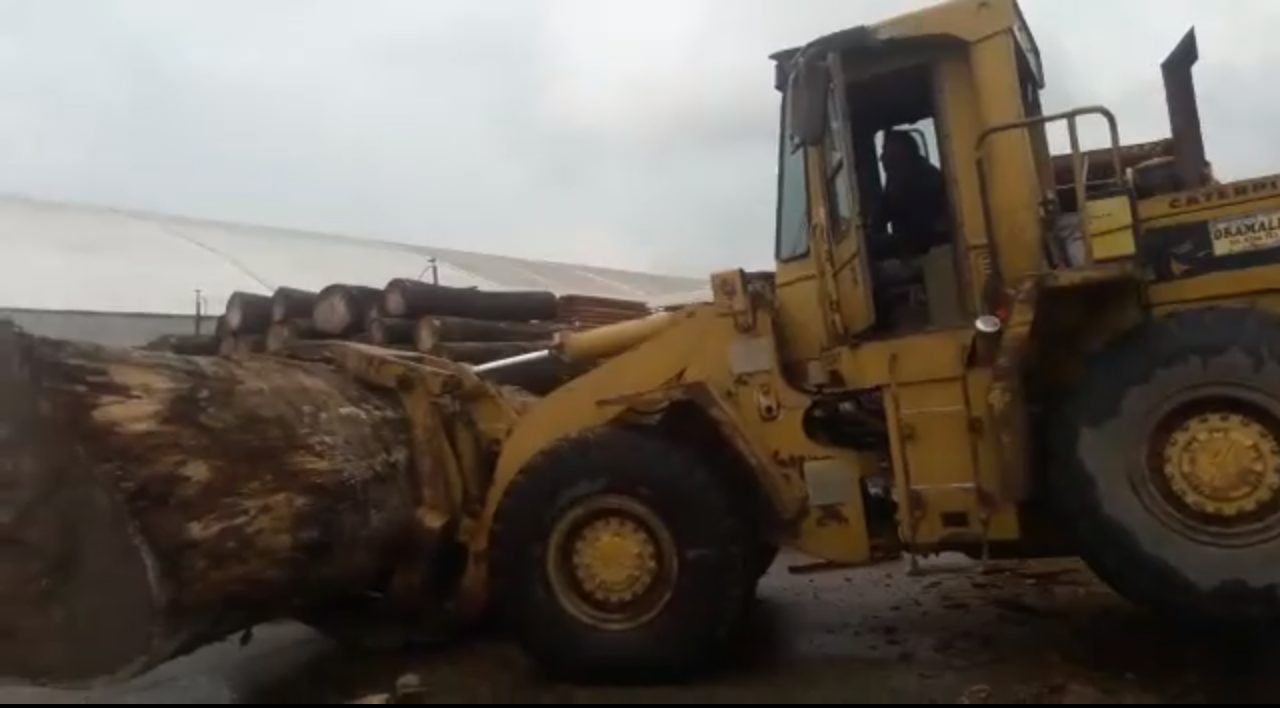 Düzce Tomruk İndirme